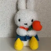 coconutの画像
