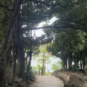 ぬぅの画像