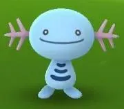 すぎの画像