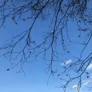 sanaの画像