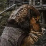 ふなふな