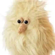 Bachの画像