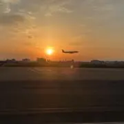 すーこの画像