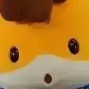 ckの画像