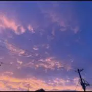 ゆの画像