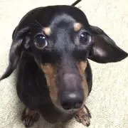 ルナオ