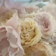 彩花