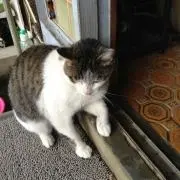 きょう