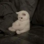 やぁ