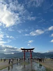 春から大学生の画像