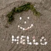 さざえ
