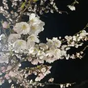 jima07の画像
