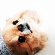 はーなー♡の画像