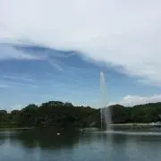 スターターの画像
