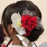 こむぎの画像
