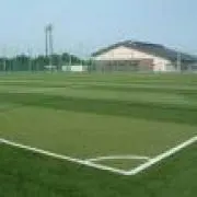 yusasaの画像