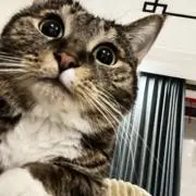 xzxyx aの画像