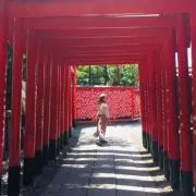 moekoの画像