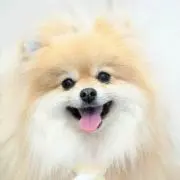 キャサリンの画像