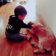 ゆっきぃ