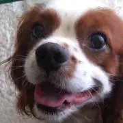 まっちゃん