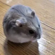 ♡シンMAMA♡の画像