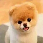 ももくん