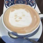 jnの画像