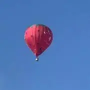 まるぼうろの画像