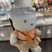 アパレイユの画像