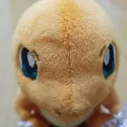 ぺんぺんの画像