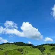 翠の画像