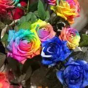 ＊Rasty＊【プロフ一読お願いします】の画像