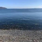 こげ