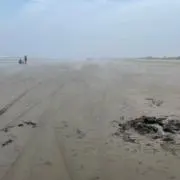 ろか