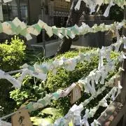 みーこの画像