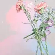 りこの画像