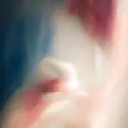 mopの画像