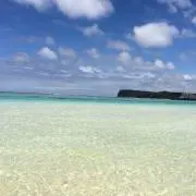 ポチ02の画像
