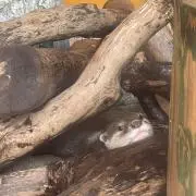 pohiroの画像