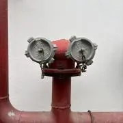 ちゃむの画像