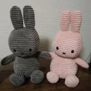 bunnyの画像