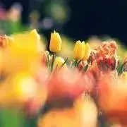 なの・プロフ必読！写真 転載禁止の画像