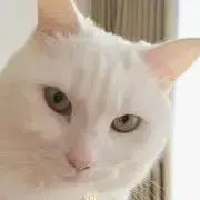 みるの画像