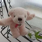 パステル☆．。．:・゜の画像