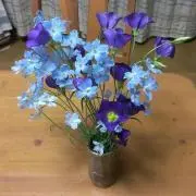 もんの画像