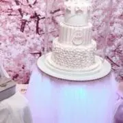 本の画像
