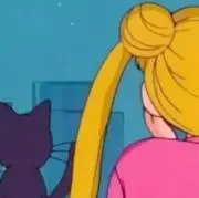 すぽんの画像