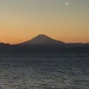 キムの画像