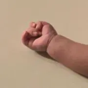 みどりのソファーの画像